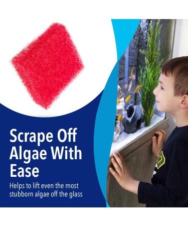 4 Pack USA Made Aquarium Cleaner - Hand Held Scrubber Pad & Scraper for Glass Walls - Fish Tank Cleaning Tools - Won't Scratch Glass - Ideal for Turtle & Fish Tank Maintenance - Buy Online on GoSupps.com