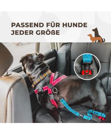 Buy Wuglo Dog Car Safety Belt | Adjustable 38-95cm Elastic Buckle - Durable & Universal Dog Straps (Blue) | Safe Travel for Dogs - Buy Online on GoSupps.com