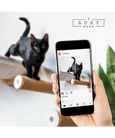 Ruby Road Cat Hammock Wall Mounted Shelf with Steps - Modern Cat Bed for Large Cats - Cat Furniture for Sleeping, Playing, Climbing, and Lounging - Buy Online on GoSupps.com