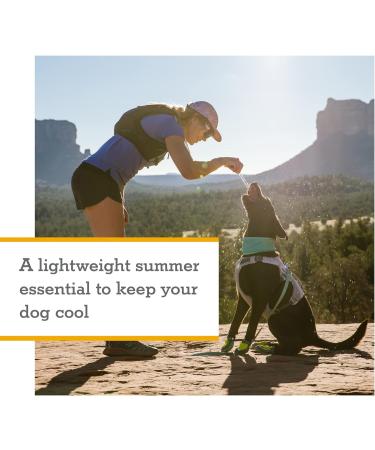 RUFFWEAR Swamp Cooler Neck Gaiter for Dogs SPF 50+ - Small Aurora Teal/Heliotrope Purple - Buy Online on GoSupps.com