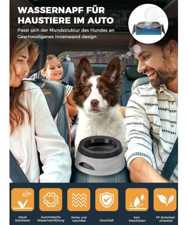WasernAbf 750ml Dog Bowl - Exhaustproof Splash Protection | Travel-Friendly Removable Plastic Cat & Dog Water Bowl - Green & Gray - Buy Online on GoSupps.com