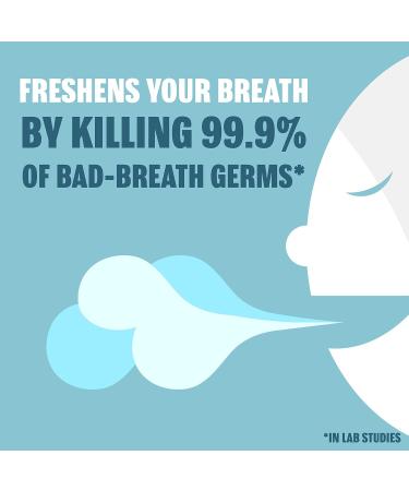Listerine Freshburst Pocketpaks Fresh Breath Strips Mint Breath Refresher Strips to Kill 99% of Bad Breath Germs Portable Pack Freshburst Spearmint Flavor 24-Strips (Pack of 1) - Buy Online on GoSupps.com