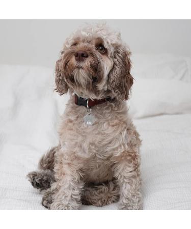 Personalized Silver Engraved Dog Tag Paw - 26mm with 2 Key Rings | Custom Pet ID Tag | International Shipping - Buy Online on GoSupps.com