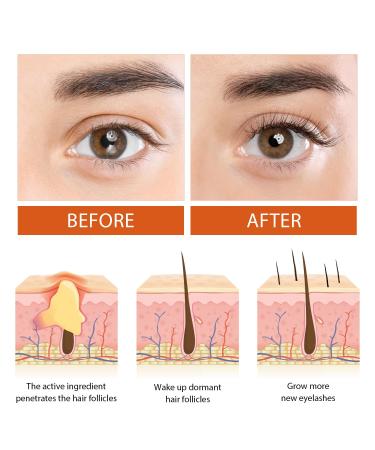 LashLuxe Castor Oil Vegan Growth Serum - Promote Longer Thicker Eyelashes (2 Piece) | International Shipping Available - Buy Online on GoSupps.com