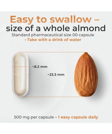 Mindly Daily L-Carnitine L-Tartrate 500 mg - 60 Vegan Capsules - Amino Acid Supplement - Gluten Lactose & Titanium Dioxide Free - Buy Online on GoSupps.com