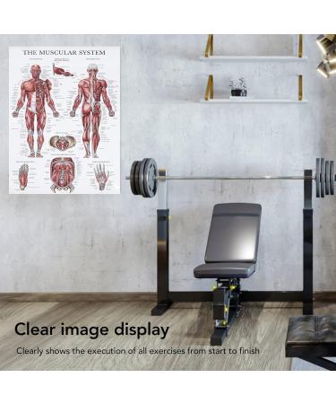 Saluaqui Fitness Workout Poster - Resistance Band Training & Muscle Anatomy for Home Gym | Effective All-Off Exercises with Clear Images - Buy Online on GoSupps.com
