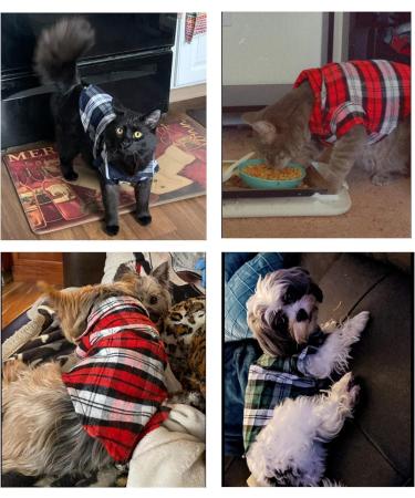 YAODHAOD Dog Plaid Shirt Pet Fashion Plaid Shirt Pet Dog Clothes Cat Plaid Clothes Shirt Soft and Comfortable (green S) - Buy Online on GoSupps.com