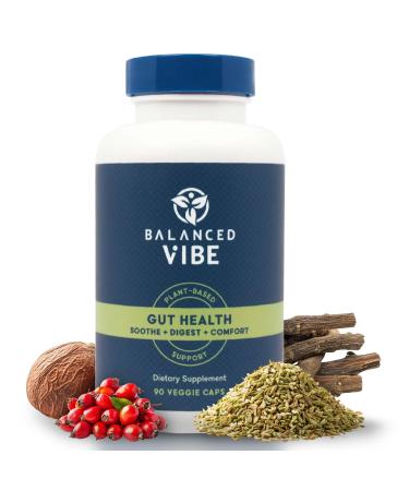 Balanced Vibe Organic Gut Health Supplement | Plant-Based Digestive & Gut Lining Support | L-Glutamine Glycine & 5 Organic Herbs to Reset Healthy Digestion and Fuel Your Day | 90 Capsules