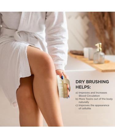 Apriqus Wet & Dry Body Brush with Carry Bag - Natural Bristle Exfoliator for Lymphatic Drainage and Cellulite Reduction - Buy Online on GoSupps.com