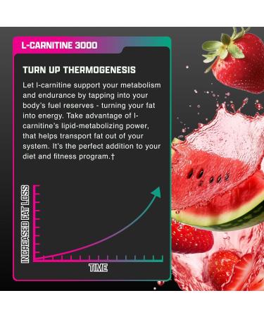 Nutrex Research Liquid Carnitine 3000 | (Strawberry Watermelon) | Premium L Carnitine Liquid Stimulant Free 31 Servings 31 servings Strawberry Watermelon - Buy Online on GoSupps.com