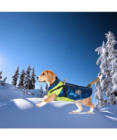 Winter Waterproof Dog Jacket | Warm Reflective Vest for Small & Medium Dogs - Windproof & Cozy (Blue M) - Buy Online on GoSupps.com