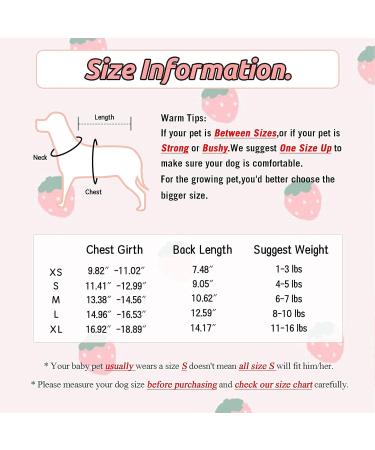Small Dog Shirts 3 Pack - Cute Print Pet Tee for Small Dogs - Sleeveless Cotton Vest - XL Size - Spring/Summer Outfits - Chihuahua, Yorkie, Shih Tzu, Pomeranian - Strawberry, Monkey, Donut - Petcare Essentials - Buy Online on GoSupps.com
