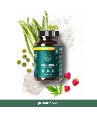 Primal Harvest Biotics - 30 Capsules with 15 Strains & 80 Billion KBE - Probiotic Supplement with Inulin & Living Cultures - International Shipping Available - Buy Online on GoSupps.com