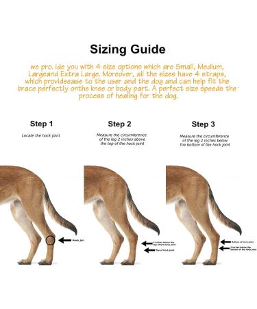 LUSIAINA Dog Front Leg Brace Pair Extra Supportive Canine Rear Hock Brace for Wound Stability Sprains Injury Helps Arthritis (L) - Buy Online on GoSupps.com