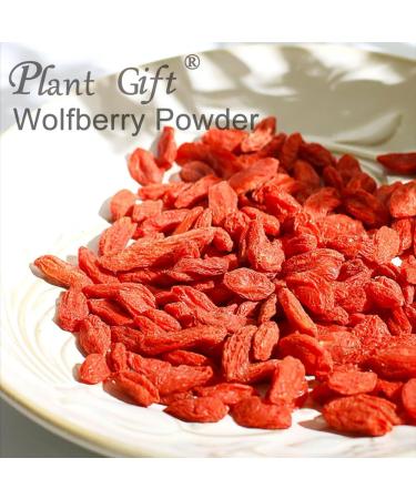 100% Wolfberry Powder 100g/3.52oz poudre de Goji poudre de Goji pour smoothies shakes p tisseries et boissons | sans conservateur - Buy Online on GoSupps.com