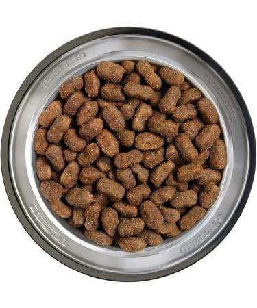 x 12 5 kg BELCANDO Junior GF Poultry getreidefreies Nourriture pour chien - Buy Online on GoSupps.com