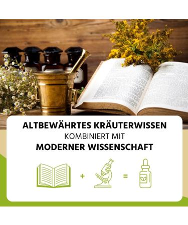 Danhofer said NEW Auwald Red Clover Drops BIO Highquality extract extract essence and tincture 100 organic farming free from artificial additives and dyes made in Austria 100ml - Buy Online on GoSupps.com