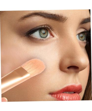 Buy Minkissy 2 Sets Travel Makeup Brush Kit - Foundation Lip & Powder Applicators for Women - Mini Aluminum Tube Cosmetics - Buy Online on GoSupps.com