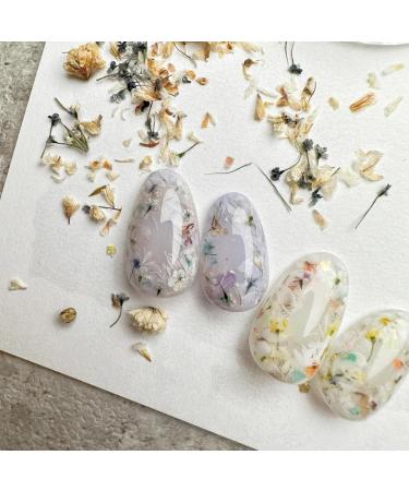 12 Boxes Dried Flowers for Nail Art | Nail Decorations & Flower Kit for Stunning Nail Designs - Buy Online on GoSupps.com