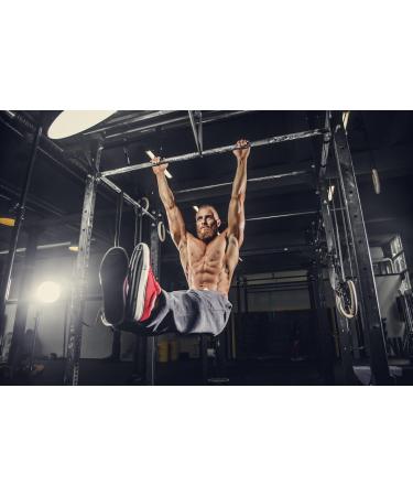 Post Workout Shake 1500g - Cherry Flavor with Maltodextrin Whey Protein EAA Creatine L-Glutamine & Magnesium - Made in Germany - Boost Recovery & Performance - Buy Online on GoSupps.com