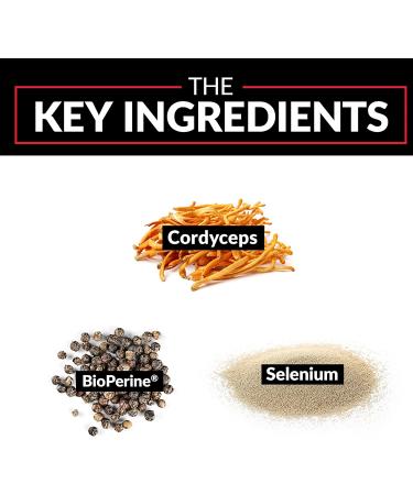 Force Factor Cordyceps 500 mg - 60 Capsules for Energy & Stamina Boost - Buy Online on GoSupps.com
