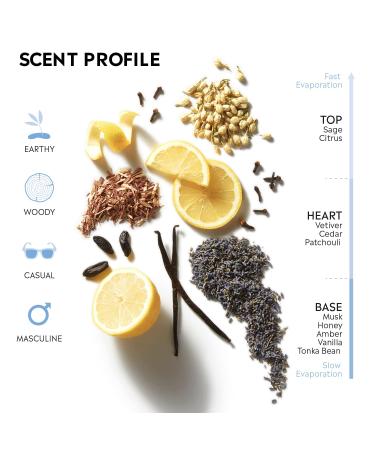 Stetson Original by Scent Beauty - Cologne for Men - Classic Woody and Masculine Aroma with Fragrance Notes of Citrus Patchouli and Tonka Bean - 1.5 Fl Oz - Buy Online on GoSupps.com