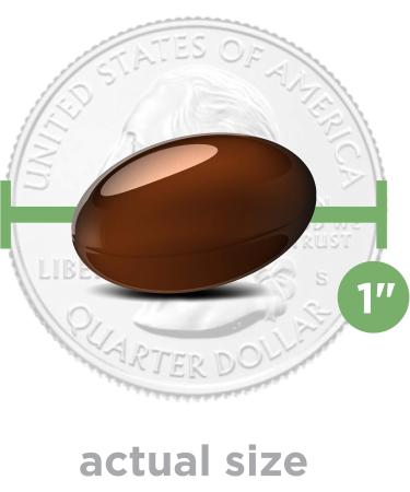 Bausch + Lomb PreserVision AREDS 2 Eye Vitamin & Mineral Supplement with OCUSorb with Lutein & Zeaxanthin from 120 Soft Gels (MiniGels) (Pack of 2) - Buy Online on GoSupps.com