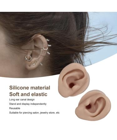 Silicone Ear Model Set - Left and Right Soft Flexible Fake Ear Piercing Practice & Jewelry Display Teaching Tool - Buy Online on GoSupps.com