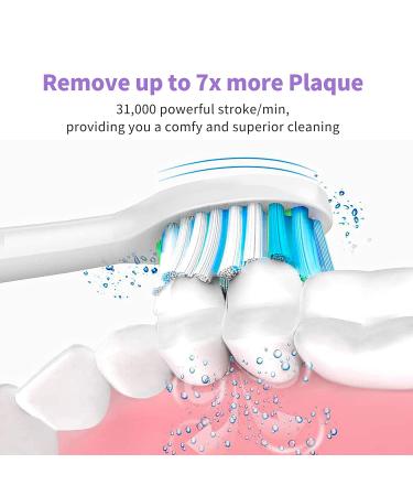 SARMOCARE Sonic Electric Toothbrush - Rechargeable for Adults & Kids | 5 Modes, 3 Intensity Levels | Waterproof, Wireless Charging | Smart Timer & Travel Case - Purple - Buy Online on GoSupps.com