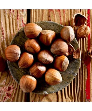 Pergamo Natural Hazelnuts | Whole Hazelnut Kernels | Vegan & Gluten-Free | 5 kg Bulk - No Shell No Additives | International Shipping - Buy Online on GoSupps.com