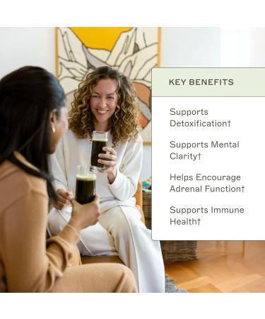 Amy Myers MD Organic Greens Powder - Supports Energy & Gut Health - USDA Organic Superfood Blend with Spirulina, Chlorella, Barley Grass - 270g (30 Servings) - Buy Online on GoSupps.com