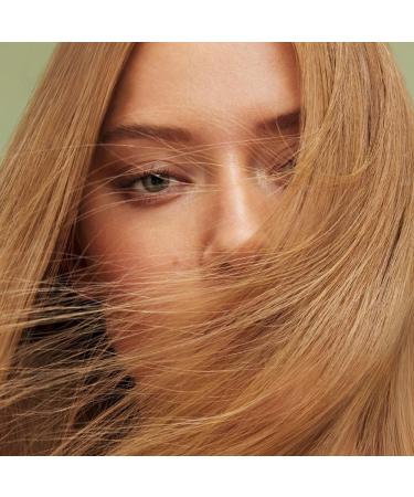 Maria Nila Color Refresh Beige Blonde 100 ml Cooltoned soft beige hair semipermanent pigments 100 vegan and sulphateparaben free - Buy Online on GoSupps.com