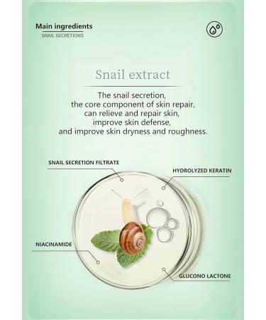 Snail Essence Solid Toner Spray | Hydrating Serum for Wrinkles Fine Lines & Dull Skin | 100ml - Replenish Water & Shrink Pores - Buy Online on GoSupps.com