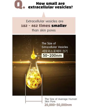 mudaz brightening peptide exogin ampoule - Buy Online on GoSupps.com