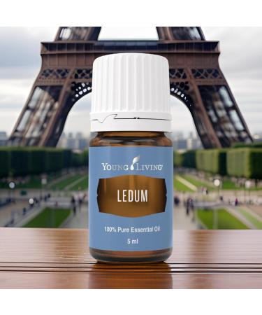 Young Living Ledum Essential Oil - 5ml | Natural Meditation & Yoga Diffuser Scent | Spiritual Cleansing & Harmonizing Aroma for Prayer & Massage - Buy Online on GoSupps.com