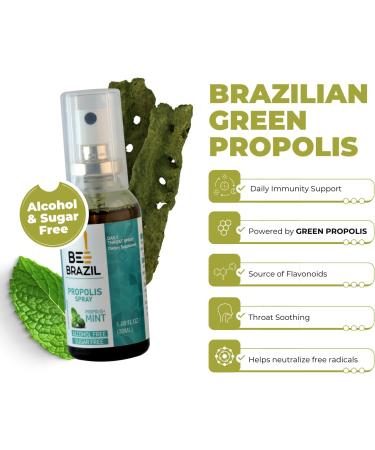 Bee Brazil Propolis and Mint Throat Spray 100% Alcohol-Free and Sugar-Free Natural Immune Support, Soothing Relief for Sore Throats, Dietary Supplement | 1.06 Fl Oz (1) - Buy Online on GoSupps.com