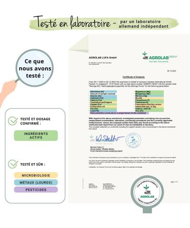 ORGANIC Moringa 1800 mg | 270 Vegan Capsules | SUPERFOOD: Multivitamins and Natural Minerals | Antioxidant + Energy | NO ADDITIVES | Vegavero  - Buy Online on GoSupps.com