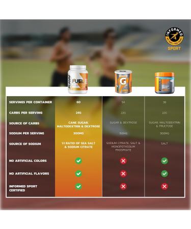 RAW Fuel Premium Endurance Supplement Powder - Lemon Lime (60 Servings) | Boost Hydration & Stamina for Workouts Training & Competition - Buy Online on GoSupps.com