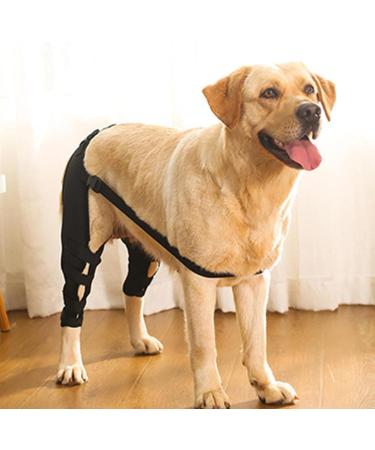 Rear Leg Knee Brace - Dog Leg Support Brace |Dog Acl Knee Brace | Canine Dog Wrist Brace Splint | Dog Hip Brace Support | Rear Leg Knee Brace | Protect Wounds | Prevent Injuries For Small Medium Dogs - Buy Online on GoSupps.com