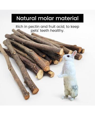 500g Apple Sticks Pet Chew Toys for Chinchilla Guinea Pigs Rabbits Animals Molar Wood Treats Toys - Buy Online on GoSupps.com