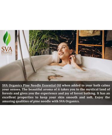 SVA ORGANICS Pine Needle Essential Oil 4 OZ - 100% Pure Therapeutic Grade for Skin & Hair Care - Buy Online on GoSupps.com
