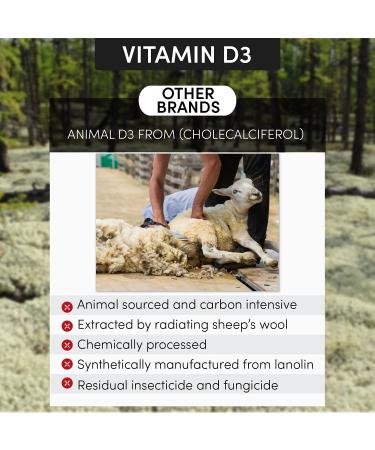 Arthur Andrew Medical KD Ultra K2 with Vegan D3 - 90 Capsules | Full Spectrum Vitamin Support - Buy Online on GoSupps.com