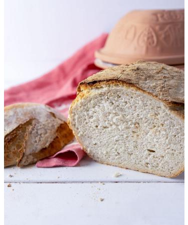 Buy Ruf Lievito Madre Sauerig - Mild Wheat-Sour Dough for Bread Baguette & Focaccia | 3x35g - Premium Dried Yeast for Baking - Buy Online on GoSupps.com