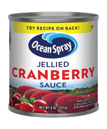 Ocean Spray Jellied Cranberry Sauce 8 oz Mini Cans - Pack of 4 | Delicious Cranberry Spread | Shop Now! - Buy Online on GoSupps.com