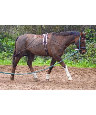 Aces Equine HORSE LUNGING TRAINING AID PESSOA STYLE WITH BODY ROLLER ONE SIZE BLACK AND BROWN - Buy Online on GoSupps.com