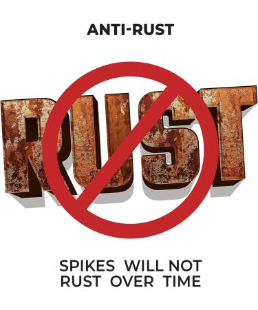 Champ 1/4 Steel Pyramid Spikes with Wrench - Durable and Easy-to-Use Spike Replacement Kit - Buy Online on GoSupps.com