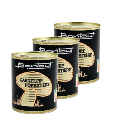 Bontout Pack of 3 Forestry Filling - 455g Box