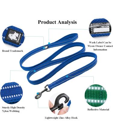 TRUE LOVE Padded Reflective Dog Leash - 110cm Blue M | Safe Puppy Walking Lead - Buy Online on GoSupps.com