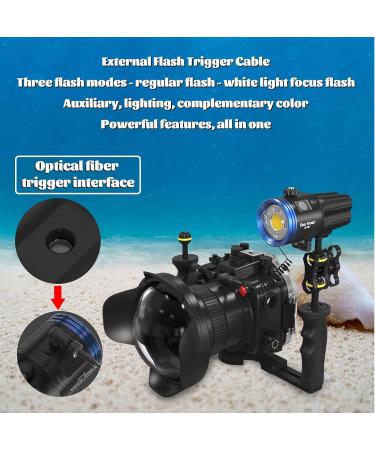 Seafrogs 328FT RGB Diving Video Light for Sony Olympus Nikon Canon Fujifilm Cameras (SF-L02) - Buy Online on GoSupps.com