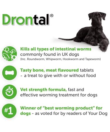 RS Pet Bayer Drontal Worming Tablet for Dogs Pack of 2 tablets Big - Buy Online on GoSupps.com